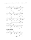 METHODS OF PREPARING CYCLIC PEPTIDES AND USES THEREOF diagram and image