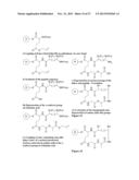 METHODS OF PREPARING CYCLIC PEPTIDES AND USES THEREOF diagram and image