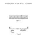 ANTIBODY PREPARATION METHOD, AND ANTIBODY AND ANTIBODY LIBRARY THUS     PREPARED diagram and image