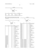 METHODS AND COMPOSITIONS FOR TREATING FLAVIVIRUSES AND PESTIVIRUSES diagram and image