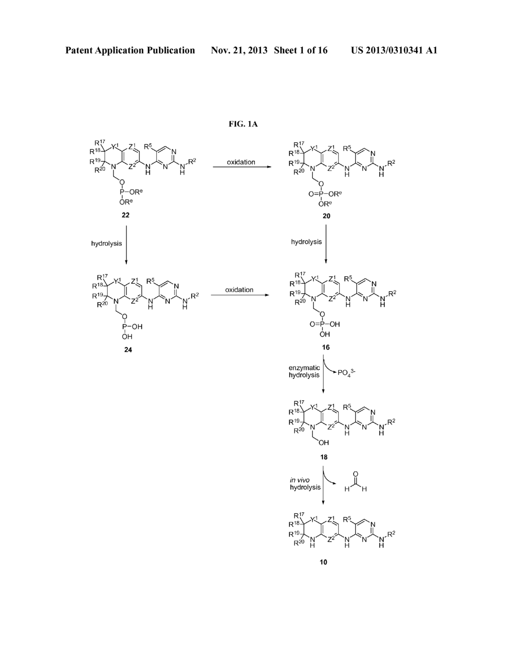 Prodrugs of 2,4-Pyrimidinediamine Compounds and Their Uses - diagram, schematic, and image 02