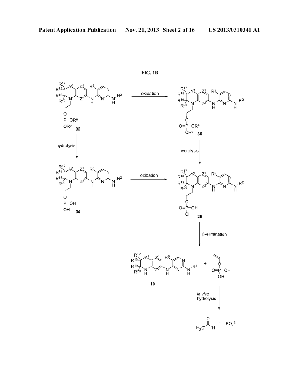 Prodrugs of 2,4-Pyrimidinediamine Compounds and Their Uses - diagram, schematic, and image 03