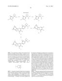 SUBSTITUTED PYRIMIDO[1,2-B]INDAZOLES AND THEIR USE AS MODULATORS OF THE     PI3K/AKT PATHWAY diagram and image