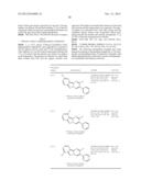 SUBSTITUTED PYRIMIDO[1,2-B]INDAZOLES AND THEIR USE AS MODULATORS OF THE     PI3K/AKT PATHWAY diagram and image