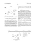 SUBSTITUTED PYRIMIDO[1,2-B]INDAZOLES AND THEIR USE AS MODULATORS OF THE     PI3K/AKT PATHWAY diagram and image