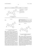 SUBSTITUTED PYRIMIDO[1,2-B]INDAZOLES AND THEIR USE AS MODULATORS OF THE     PI3K/AKT PATHWAY diagram and image