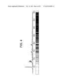 FORMS OF RIFAXIMIN AND USES THEREOF diagram and image