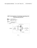 METHOD OF REDUCING PROTEINS MISFOLDING AND/OR AGGREGATION diagram and image