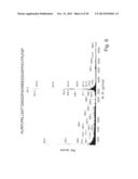 ANTISENSE OLIGONUCLEOTIDES AGAINST AchE IN THE TREATMENT OF     GASTROINTESTINAL INFLAMMATION DISORDERS diagram and image