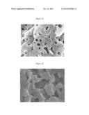 BIODEGRADABLE POLYMER COMPOSITE MATERIAL diagram and image