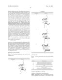 Novel Catalysts and Methods of Use Thereof to Produce Vinyl Terminated     Polymers diagram and image