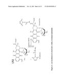 METHODS AND COMPOSITIONS FOR DELIVERING ACTIVE AGENTS WITH ENHANCED     PHARMACOLOGICAL PROPERTIES diagram and image