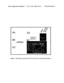 METHODS AND COMPOSITIONS FOR DELIVERING ACTIVE AGENTS WITH ENHANCED     PHARMACOLOGICAL PROPERTIES diagram and image