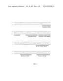 PRIMERS FOR ANALYZING METHYLATED SEQUENCES AND METHODS OF USE THEREOF diagram and image