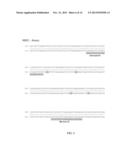 PRIMERS FOR ANALYZING METHYLATED SEQUENCES AND METHODS OF USE THEREOF diagram and image