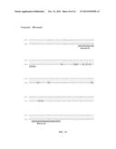 PRIMERS FOR ANALYZING METHYLATED SEQUENCES AND METHODS OF USE THEREOF diagram and image