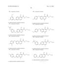 NOVEL NITROGEN-CONTAINING HETEROARYL COMPOUNDS AND METHODS OF USE THEREOF diagram and image