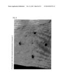 ELECTRODE PAD USED FOR IONTOPHORESIS TREATMENT diagram and image