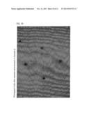 ELECTRODE PAD USED FOR IONTOPHORESIS TREATMENT diagram and image