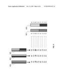 PROCESSES FOR CALCULATING PHASED FETAL GENOMIC SEQUENCES diagram and image