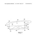 Tail feather display apparatus diagram and image