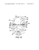 Tail feather display apparatus diagram and image