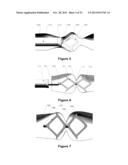 Methods And Apparatus For Occlusion Of Body Lumens diagram and image