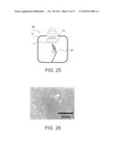 THERMOELECTRIC CONVERTER ELEMENT, METHOD OF MANUFACTURING THERMOELECTRIC     CONVERTER ELEMENT, AND THERMOELECTRIC CONVERSION METHOD diagram and image