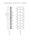 SEMICONDUCTOR LIGHT EMITTING DEVICE AND LIGHT SOURCE UNIT diagram and image