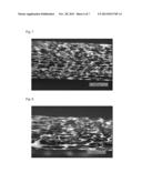 BLOW-MOLDED FOAM AND PROCESS FOR PRODUCING THE SAME diagram and image