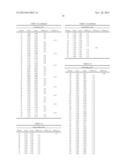 OPTICAL INFORMATION RECORDING/REPRODUCING APPARATUS AND OBJECTIVE OPTICAL     SYSTEM FOR THE SAME diagram and image