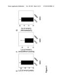 METHOD AND ASSAY FOR GLYCOSYLATION PATTERN DETECTION RELATED TO CELL STATE     OF STEM CELLS diagram and image