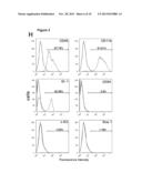 METHOD AND ASSAY FOR GLYCOSYLATION PATTERN DETECTION RELATED TO CELL STATE     OF STEM CELLS diagram and image