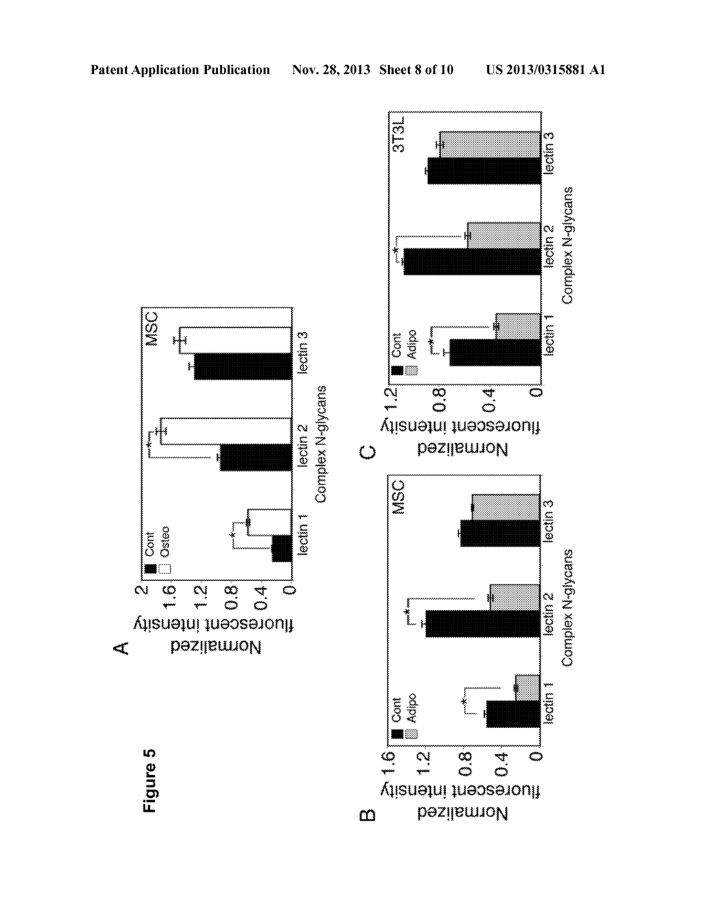 METHOD AND ASSAY FOR GLYCOSYLATION PATTERN DETECTION RELATED TO CELL STATE     OF STEM CELLS - diagram, schematic, and image 09