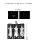 Activatable Antibodies That Bind Epidermal Growth Factor Receptor And     Methods Of Use Thereof diagram and image