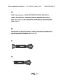 RESPIRATORY SYNCYTIAL VIRUS VACCINE diagram and image