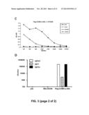 RESPIRATORY SYNCYTIAL VIRUS VACCINE diagram and image