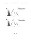 RESPIRATORY SYNCYTIAL VIRUS VACCINE diagram and image