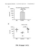 RESPIRATORY SYNCYTIAL VIRUS VACCINE diagram and image