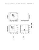 RESPIRATORY SYNCYTIAL VIRUS VACCINE diagram and image