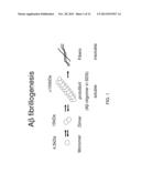 ANITBODIES SPECIFIC FOR THE PROTOFIBRIL FORM OF BETA-AMYLOID PROTEIN diagram and image