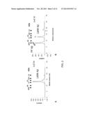 ANITBODIES SPECIFIC FOR THE PROTOFIBRIL FORM OF BETA-AMYLOID PROTEIN diagram and image