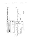 ANITBODIES SPECIFIC FOR THE PROTOFIBRIL FORM OF BETA-AMYLOID PROTEIN diagram and image