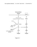 Methods and Compositions for Assessing and Treating Cancer diagram and image