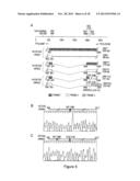 INFECTIOUS GENOMIC DNA CLONE AND SEROLOGICAL PROFILE OF TORQUE TENO SUS     VIRUS 1 AND 2 diagram and image