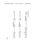 CONJUGATED BETA-1,3-LINKED GLUCANS diagram and image