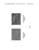 USE OF KERATINOCYTES AS A BIOLOGICALLY ACTIVE SUBSTANCE IN THE TREATMENT     OF WOUNDS, SUCH AS DIABETIC WOUNDS, OPTIONALLY IN COMBINATION WITH A     DPP-4 INHIBITOR diagram and image
