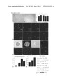 Parenteral Composition Comprising Microspheres With a Diameter Between 10     And 20 Microns diagram and image