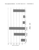 Compositions for Preventing Cardiac Arrhythmia diagram and image