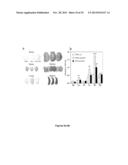 Methods of Diagnosing and Treating an Inflammatory Response diagram and image